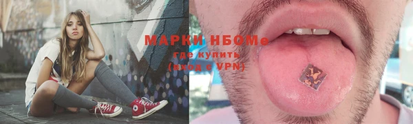 трава Новокубанск