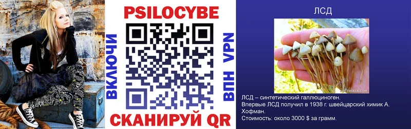 купить наркотик  Миньяр  Псилоцибиновые грибы прущие грибы 
