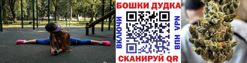 мега ссылка  Миньяр  Каннабис сатива 